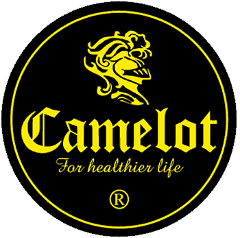 camelot water logo